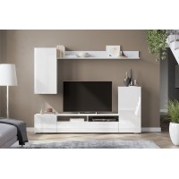 Мебель для гостиной "МГС 4" Белый / Белый глянец  SV-Мебель